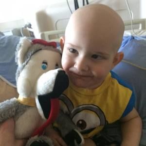 Meet your Posher, Joey